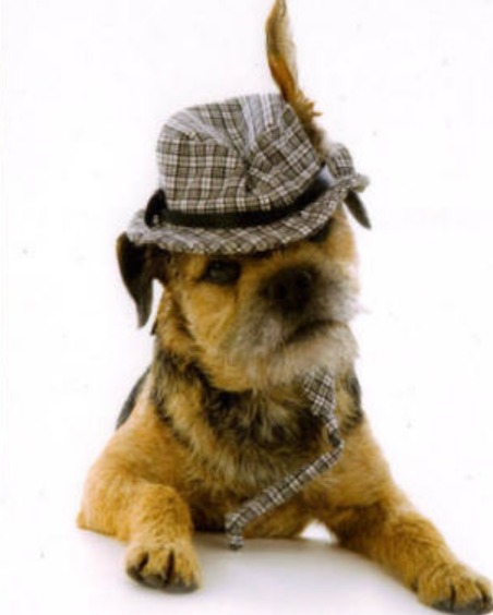 Parker wearing a tweed hat